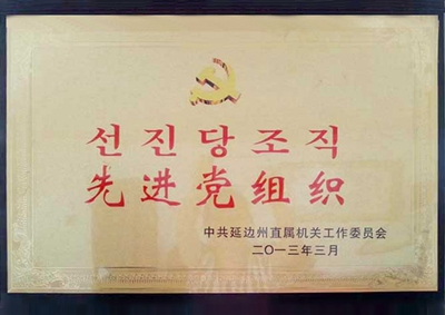 3.先進(jìn)黨組織.jpg